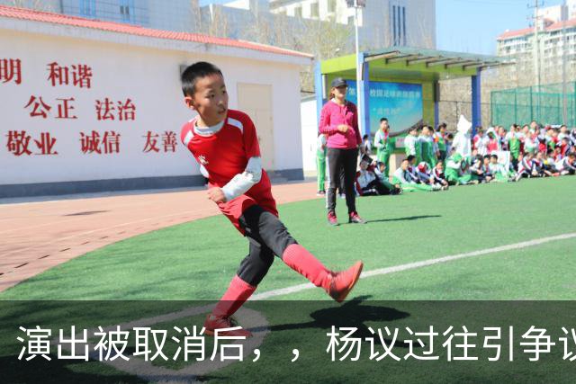 演出被取消后，，杨议过往引争议，，哥哥控诉其独吞父亲遗产，圈内人表态