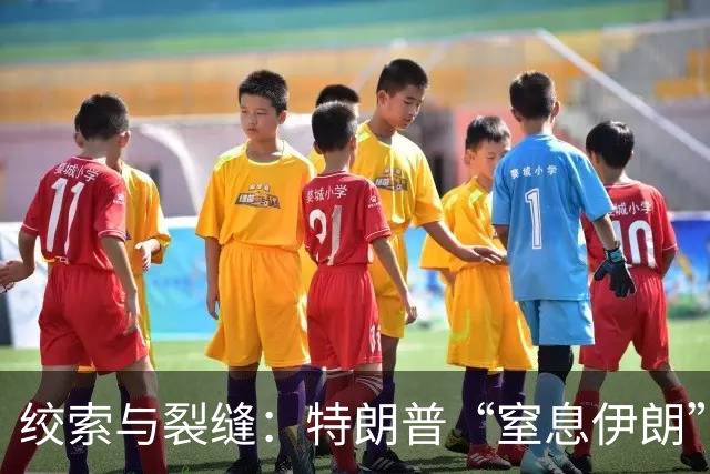 绞索与裂缝：特朗普“窒息伊朗”棋局的逻辑与代价